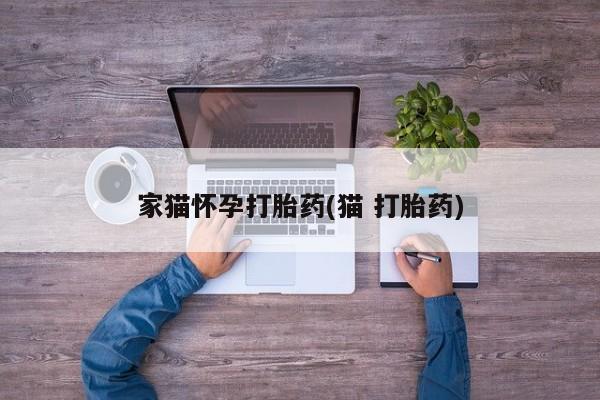 网上哪里买打胎药家猫怀孕打胎药(猫 打胎药)